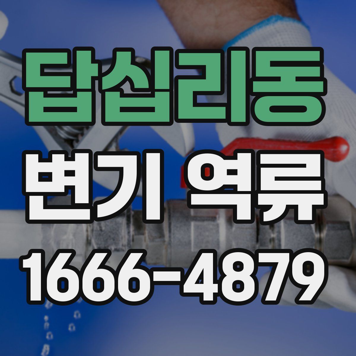 답십리동 변기 역류