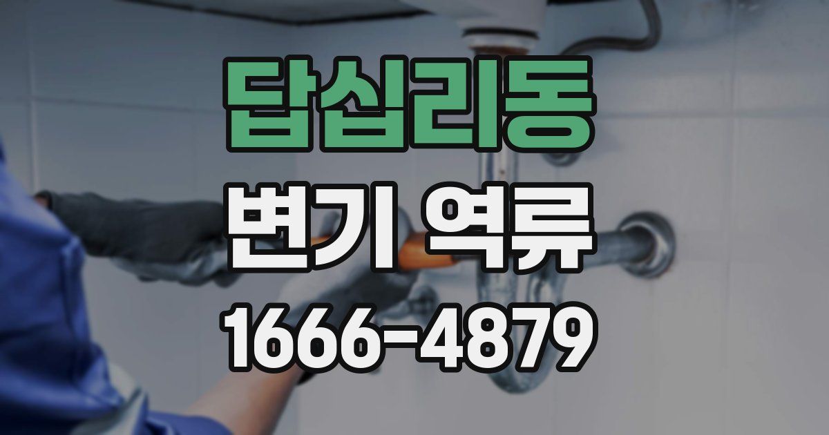 답십리동 변기 역류