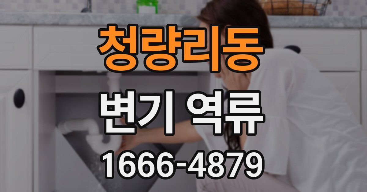 청량리동 변기 역류