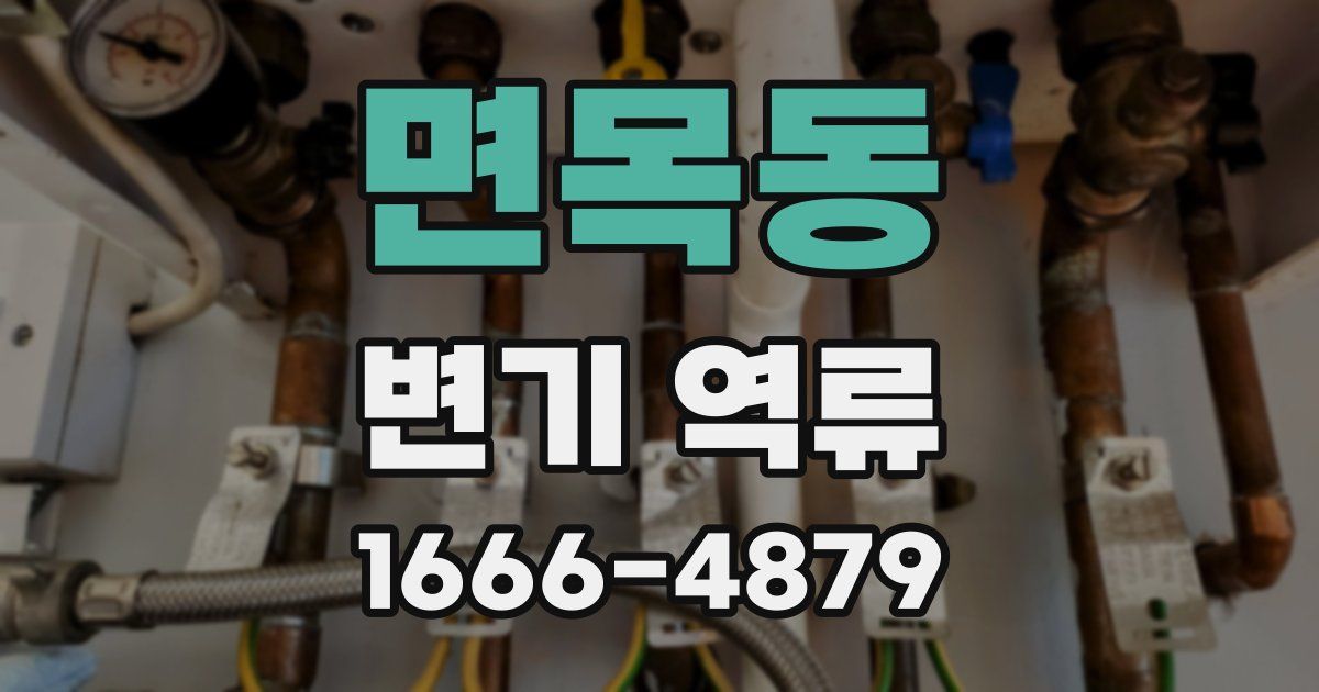 면목동 변기 역류