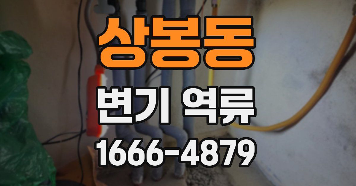 상봉동 변기 역류