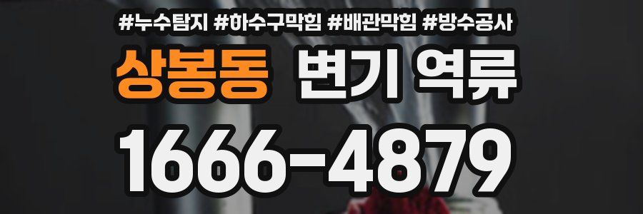 상봉동 변기 역류
