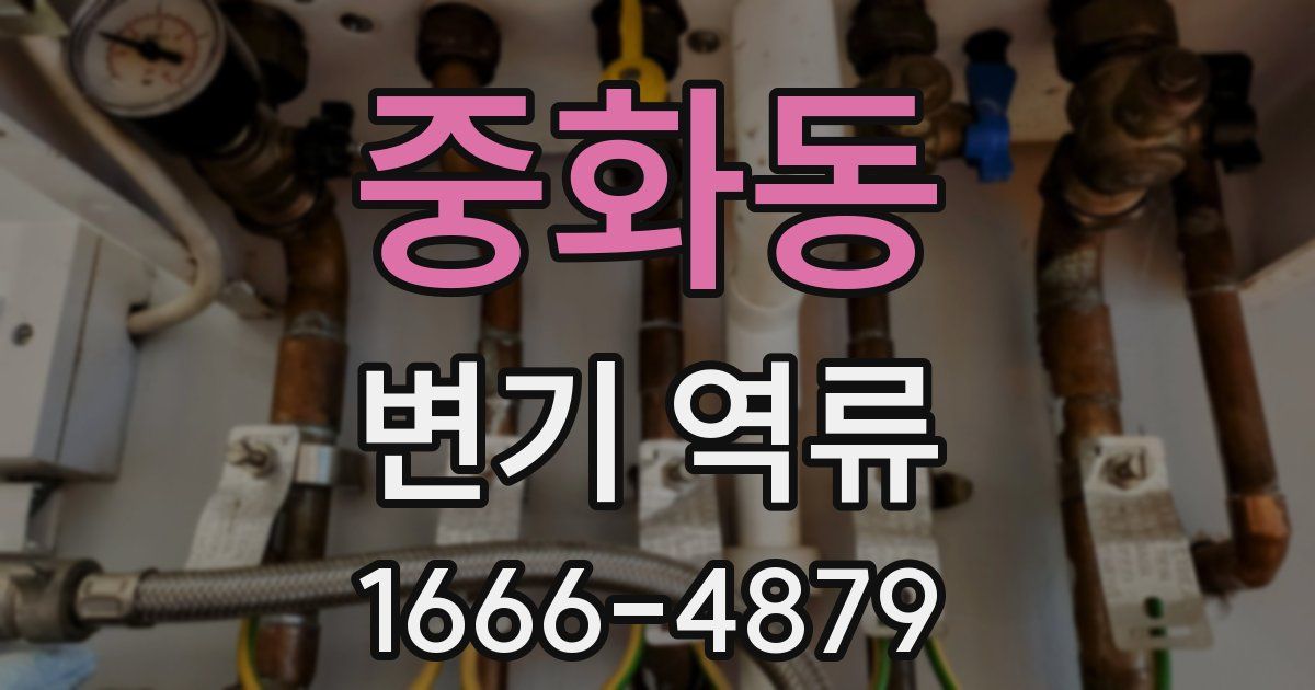 중화동 변기 역류