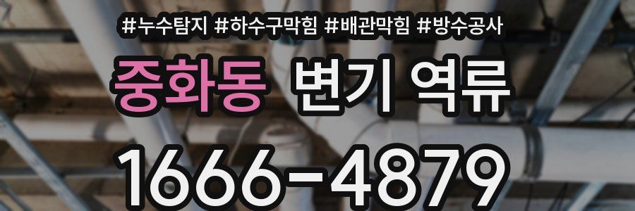 중화동 변기 역류