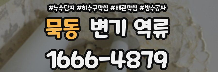 묵동 변기 역류