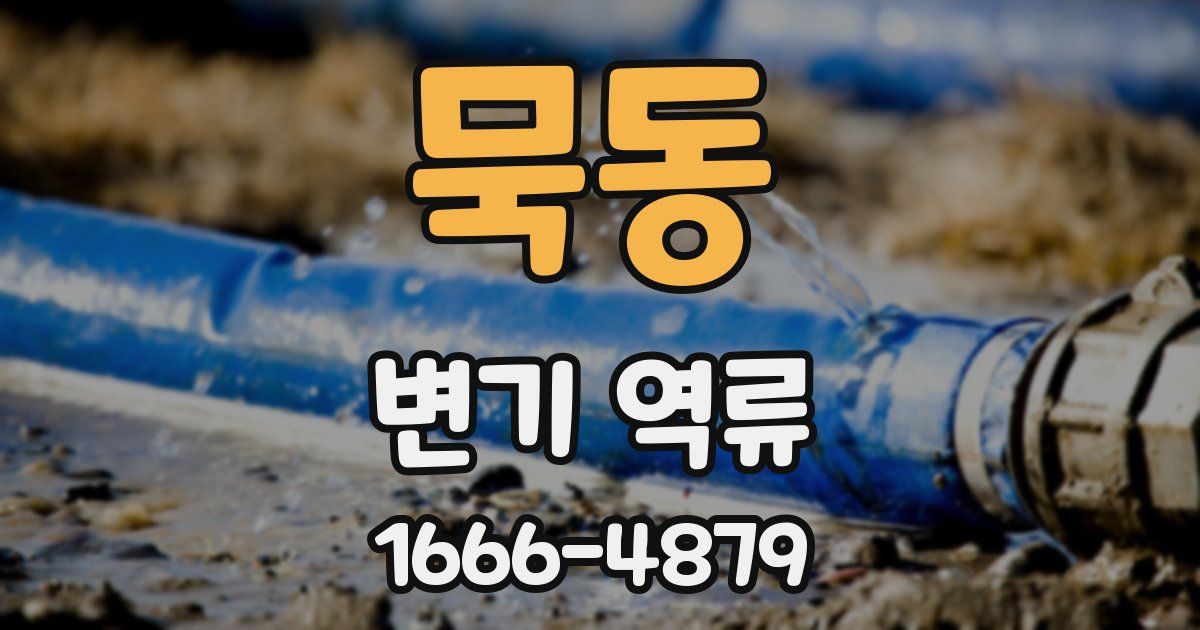 묵동 변기 역류