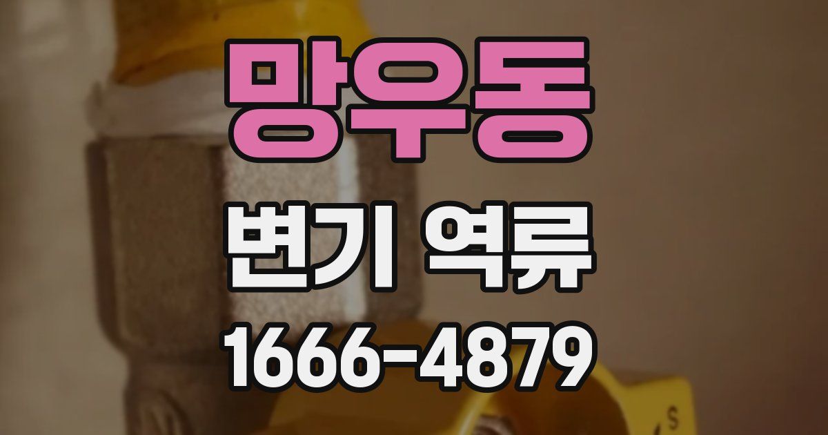 망우동 변기 역류