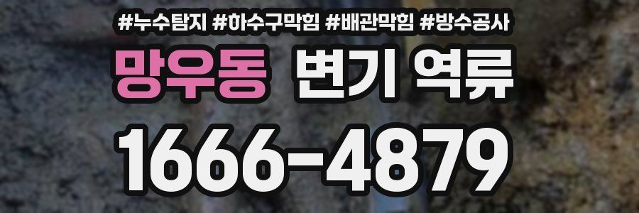 망우동 변기 역류