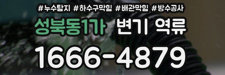 성북동1가 변기 역류