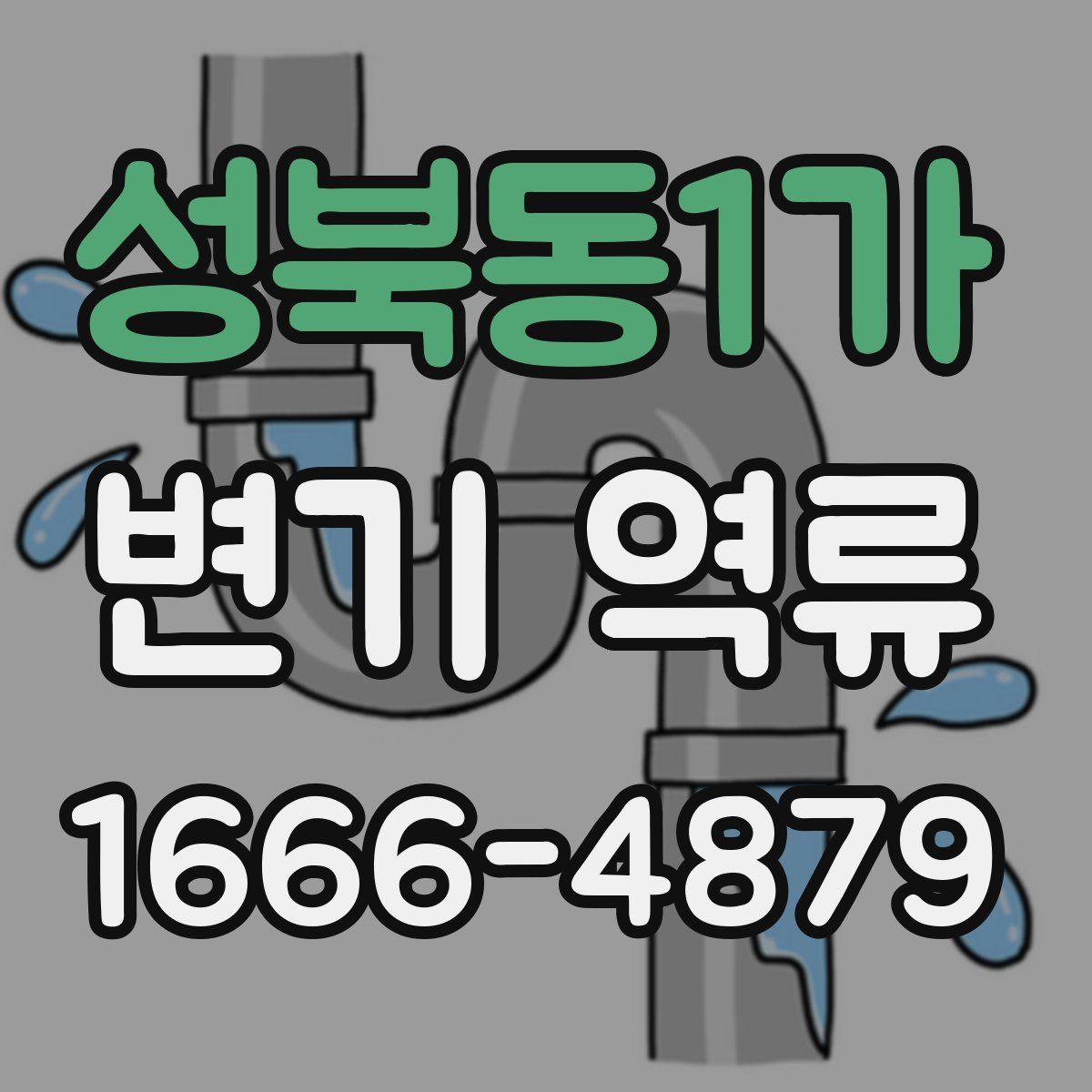 성북동1가 변기 역류