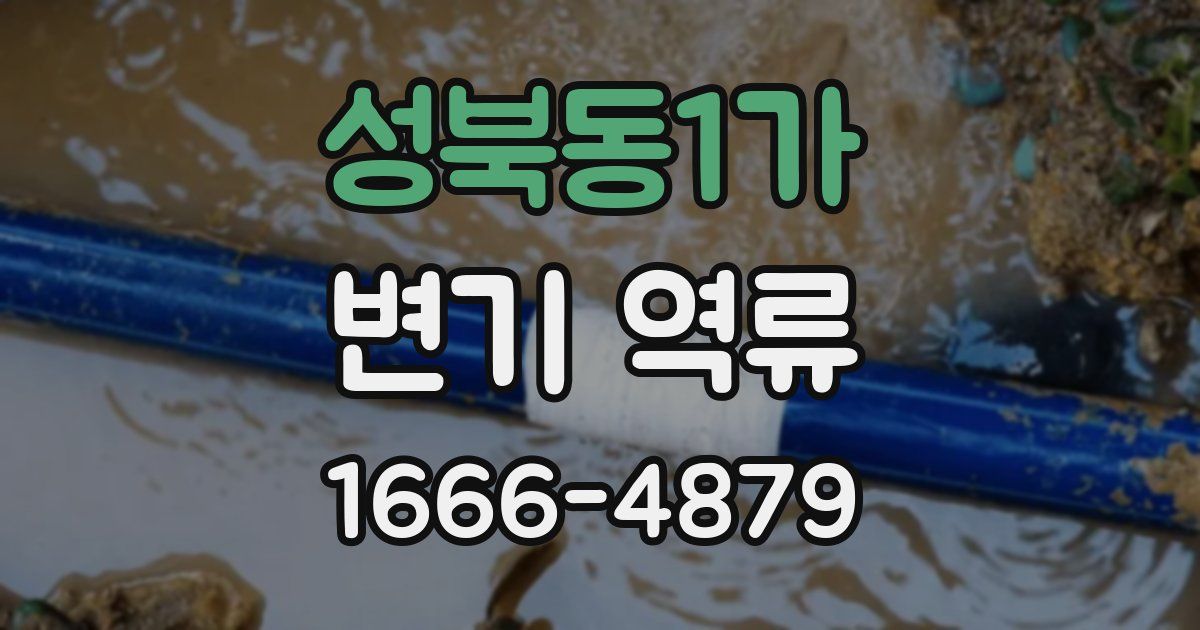 성북동1가 변기 역류