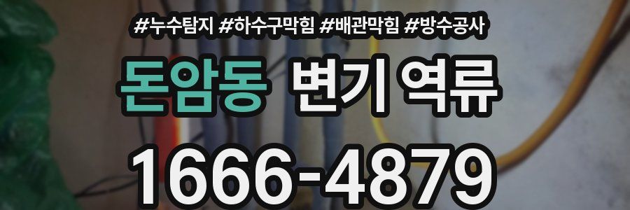 돈암동 변기 역류
