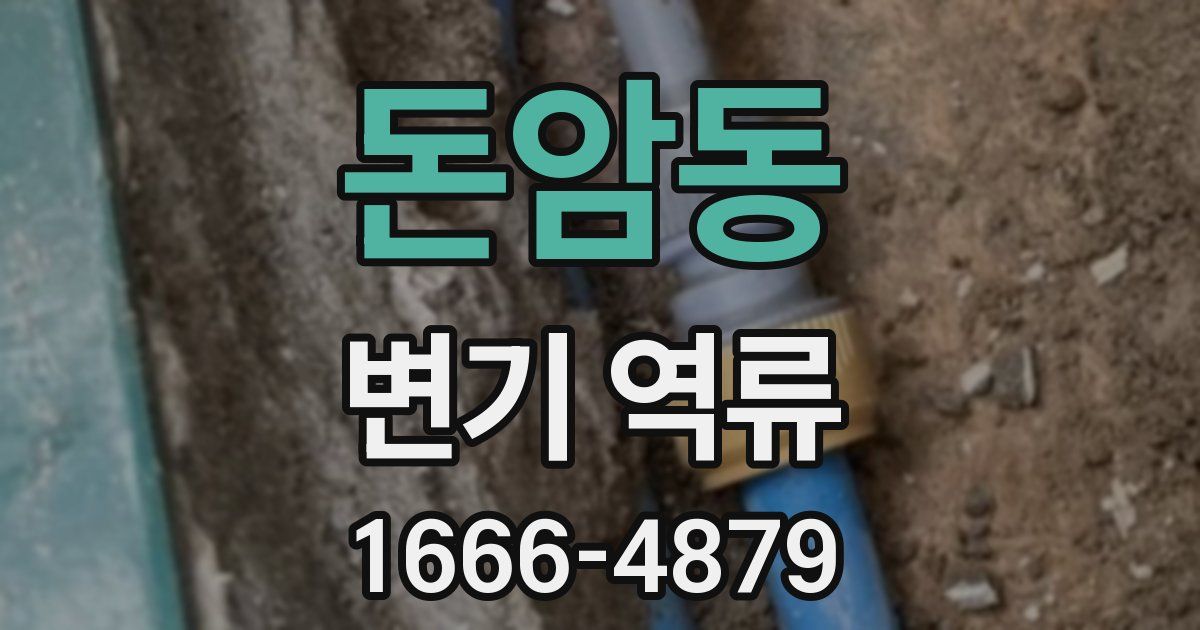 돈암동 변기 역류
