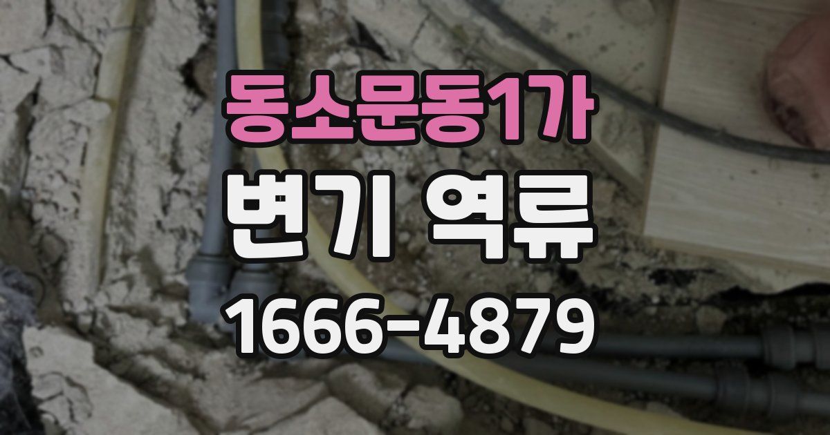 동소문동1가 변기 역류