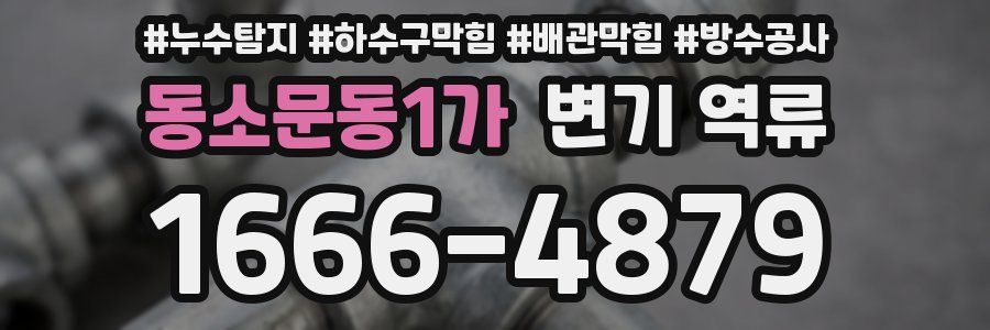 동소문동1가 변기 역류
