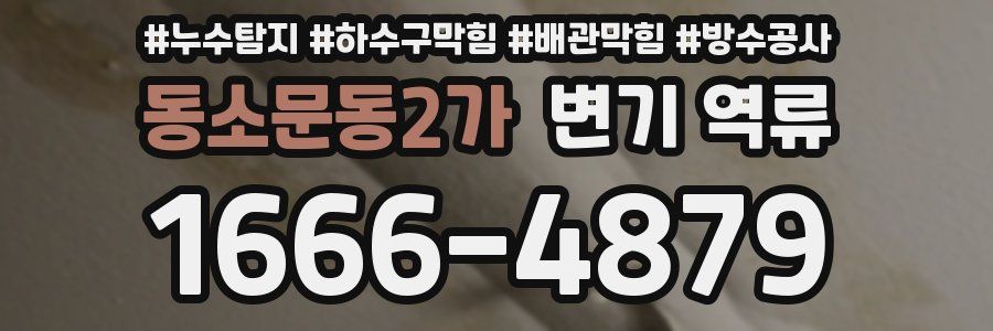 동소문동2가 변기 역류