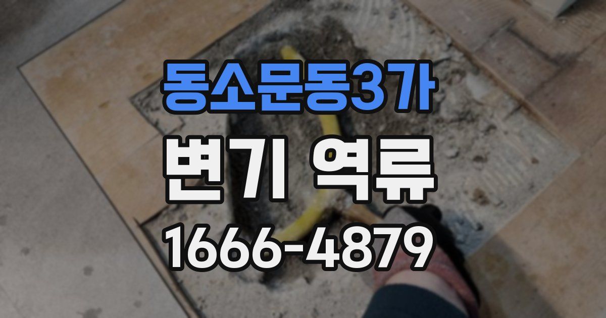 동소문동3가 변기 역류