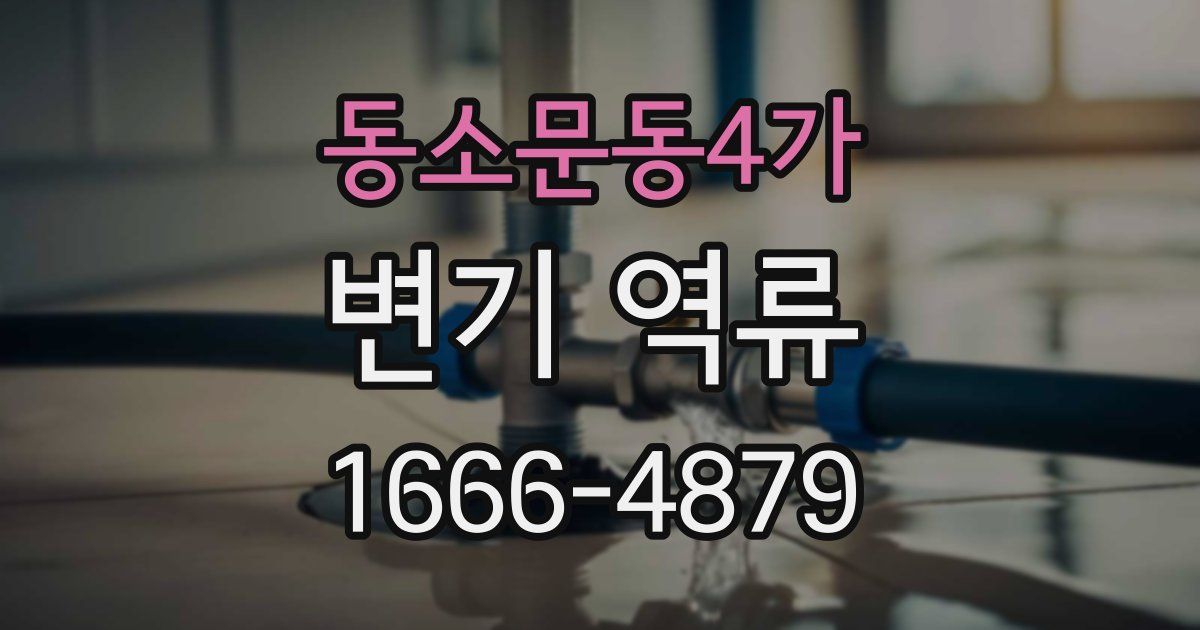 동소문동4가 변기 역류