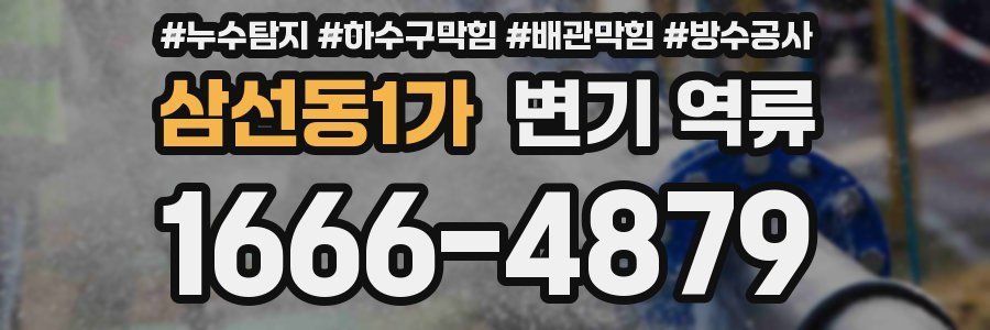 삼선동1가 변기 역류