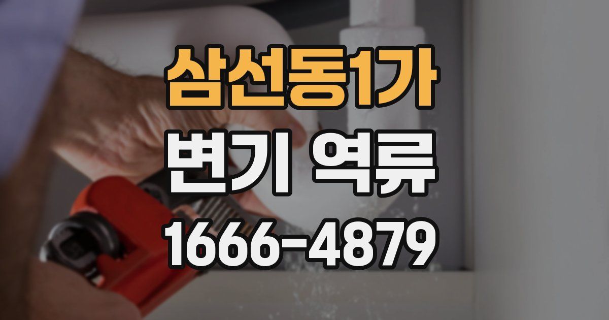 삼선동1가 변기 역류
