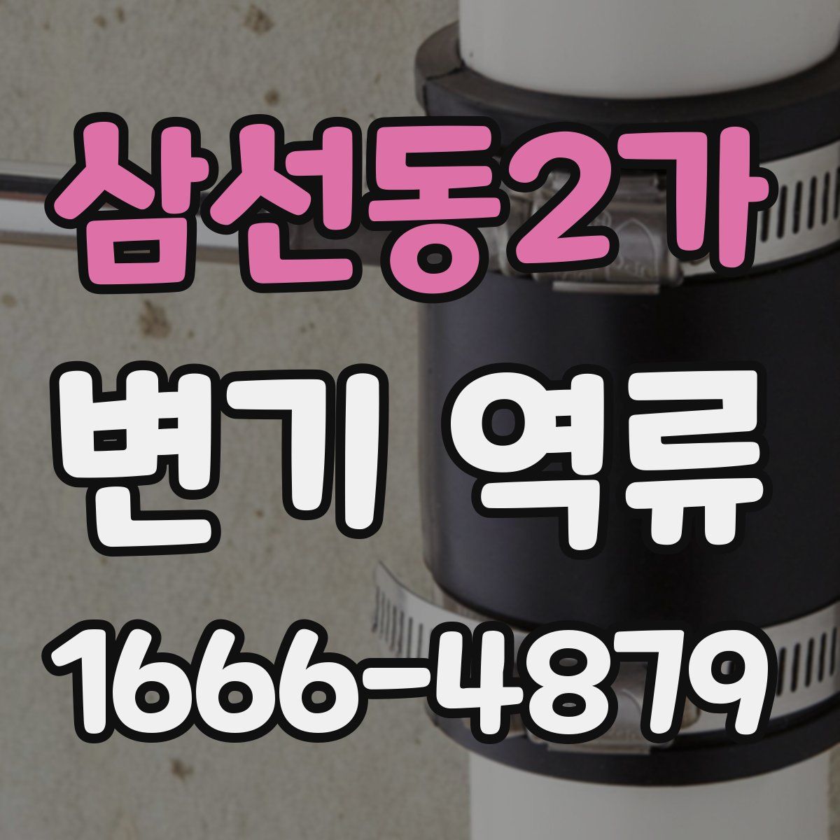 삼선동2가 변기 역류