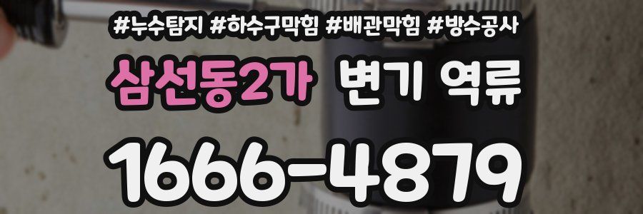 삼선동2가 변기 역류