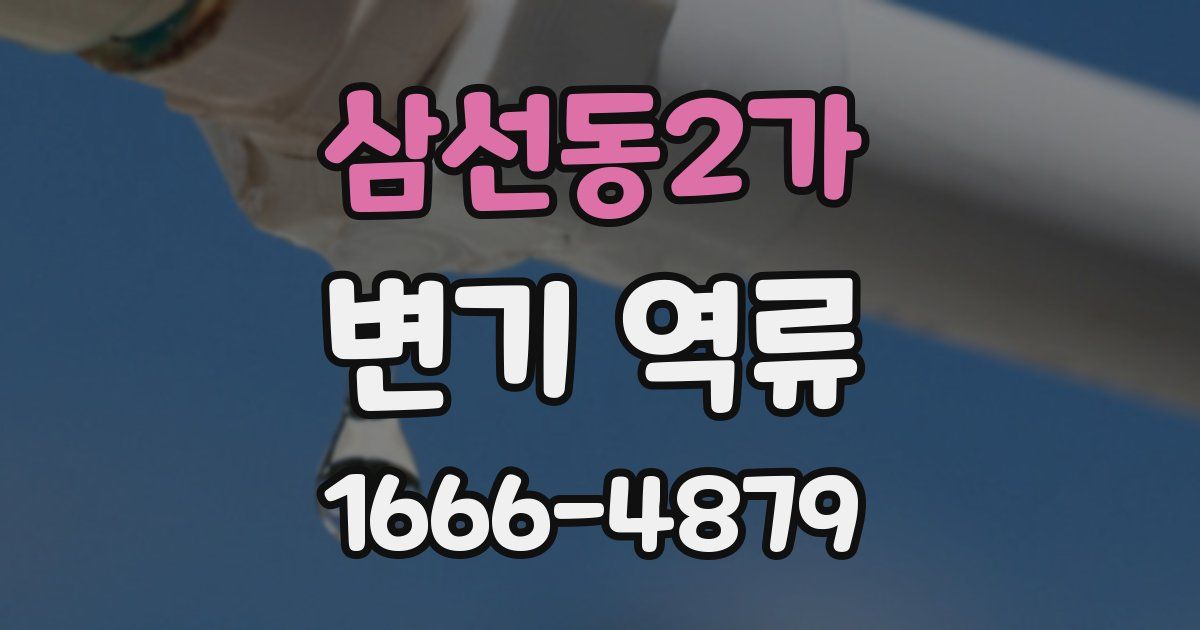 삼선동2가 변기 역류
