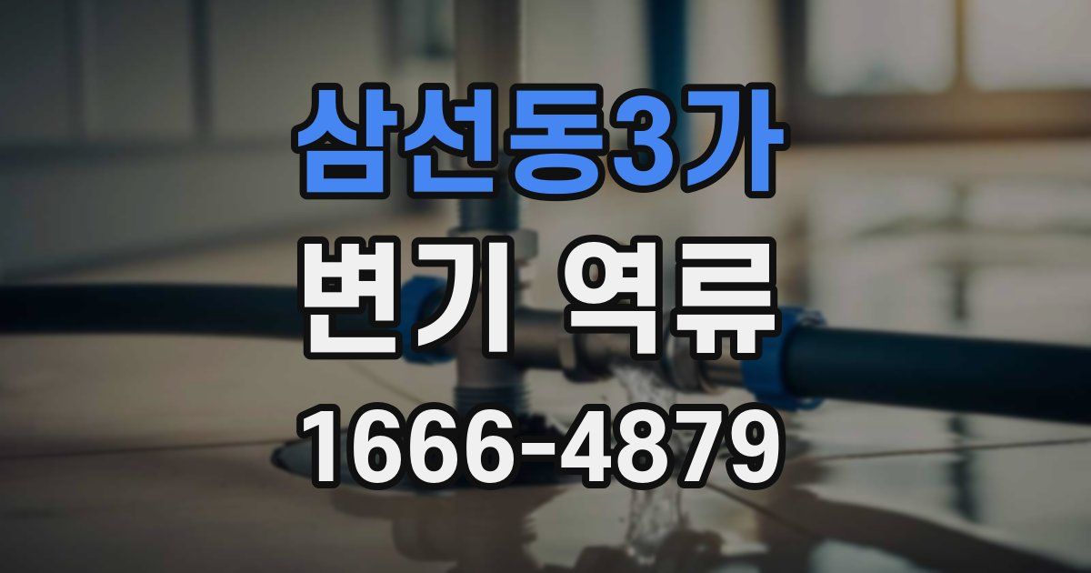 삼선동3가 변기 역류