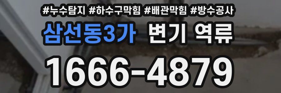 삼선동3가 변기 역류