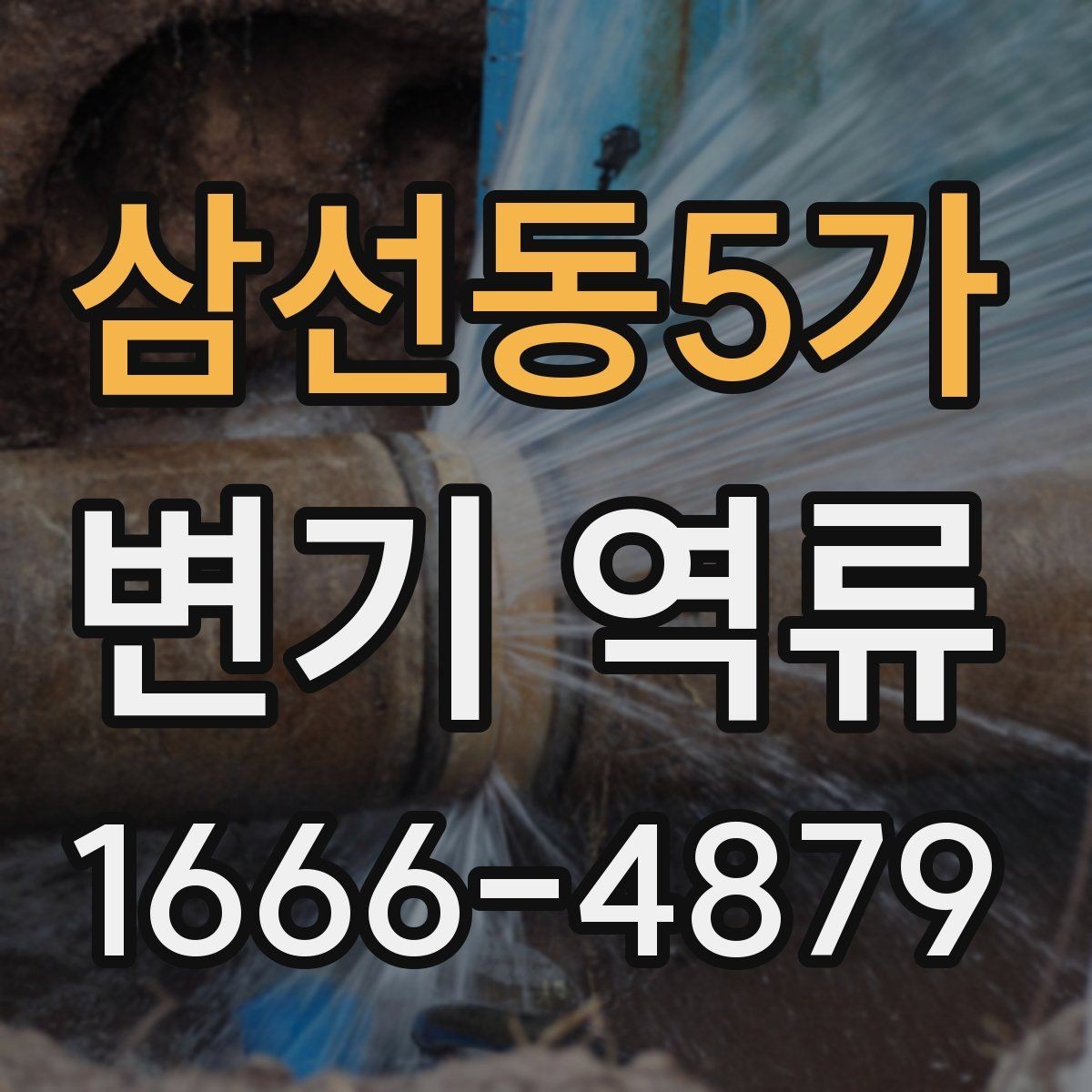 삼선동5가 변기 역류 배수 라인 문제를 의심해야 하는 상황