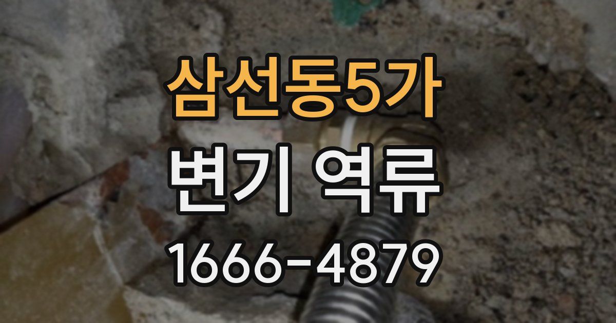 삼선동5가 변기 역류