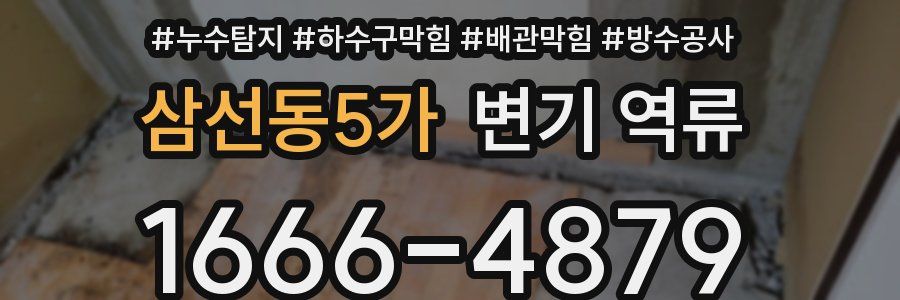 삼선동5가 변기 역류