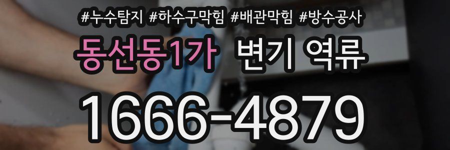 동선동1가 변기 역류