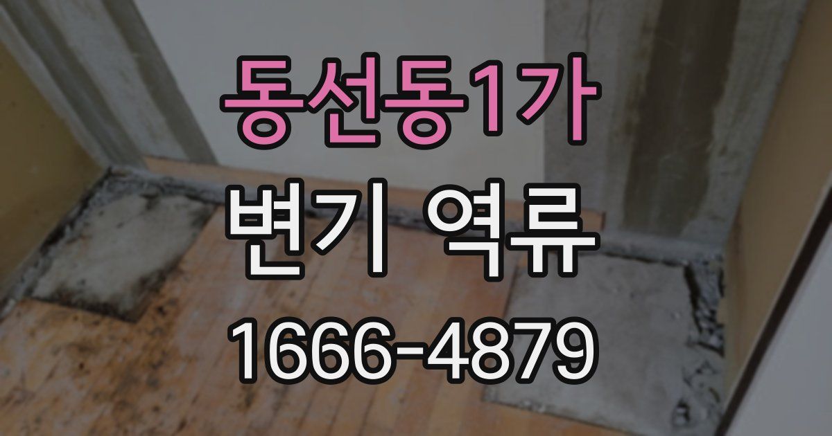 동선동1가 변기 역류