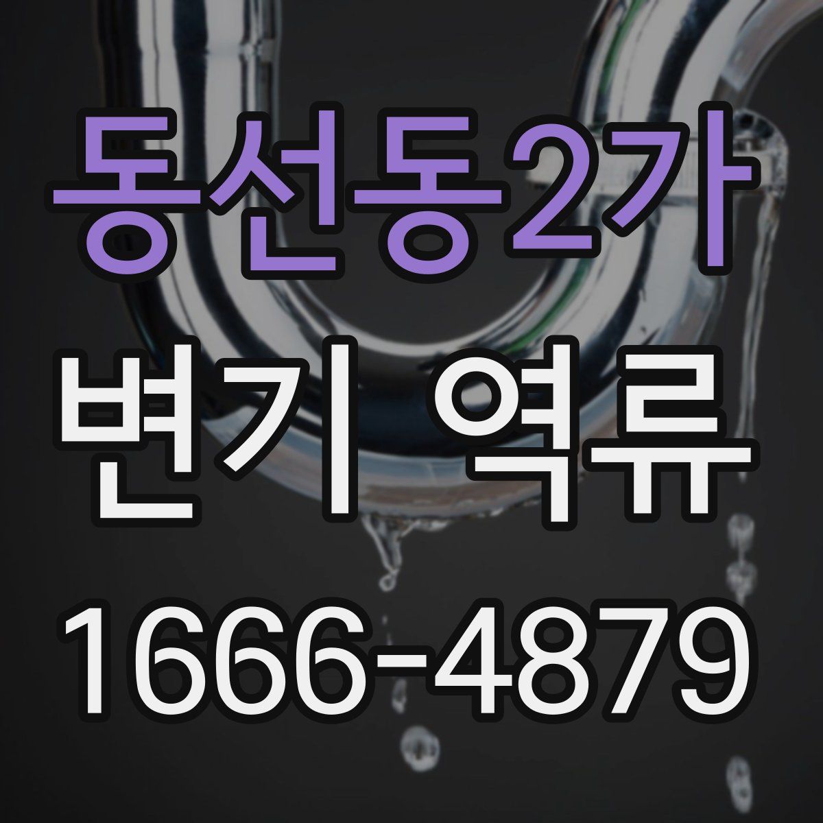 동선동2가 변기 역류