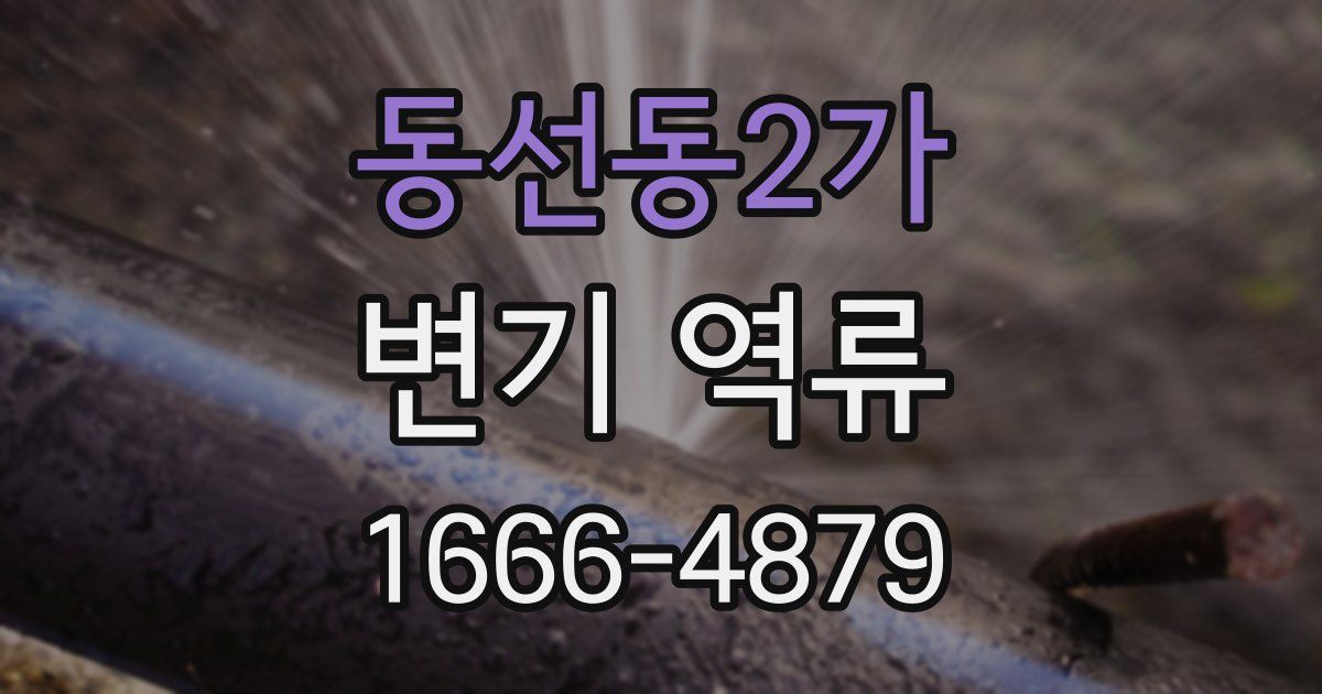 동선동2가 변기 역류