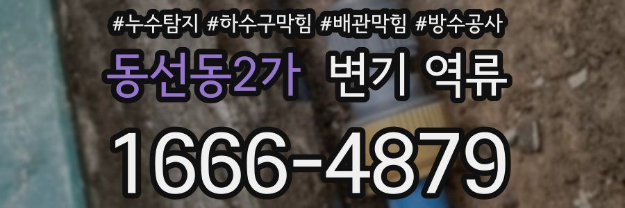 동선동2가 변기 역류
