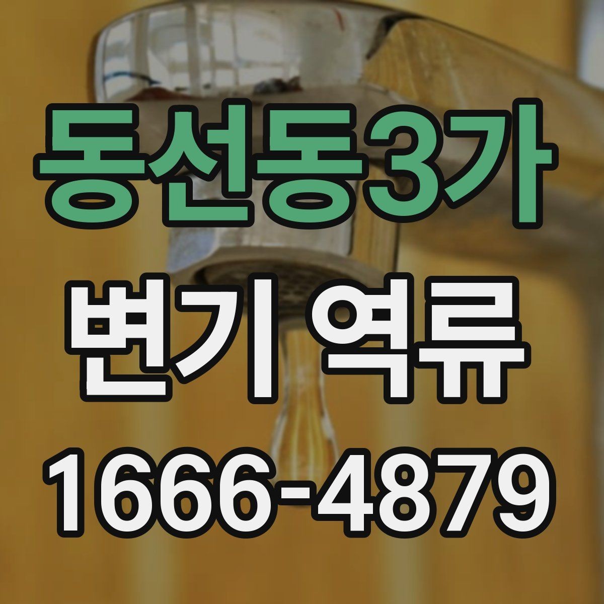 동선동3가 변기 역류 물이 거꾸로 차오를 때 점검 포인트