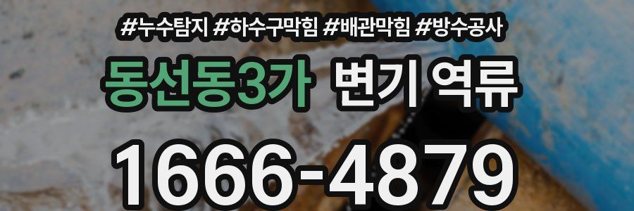 동선동3가 변기 역류