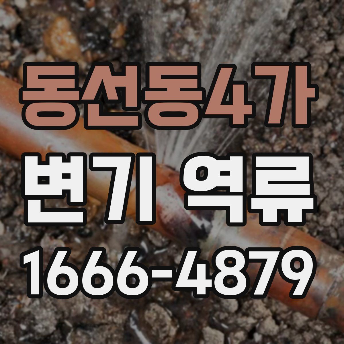 동선동4가 변기 역류 주거 형태별로 다른 원인과 대처