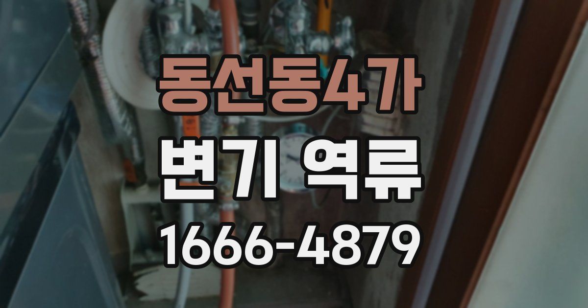 동선동4가 변기 역류