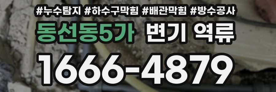 동선동5가 변기 역류