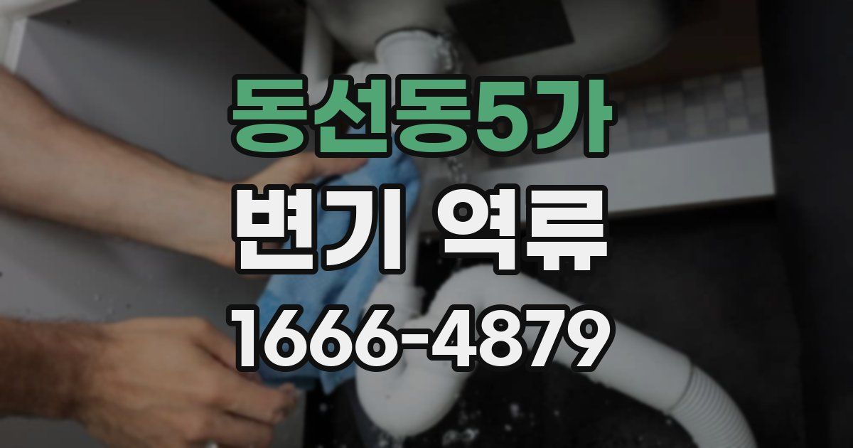 동선동5가 변기 역류