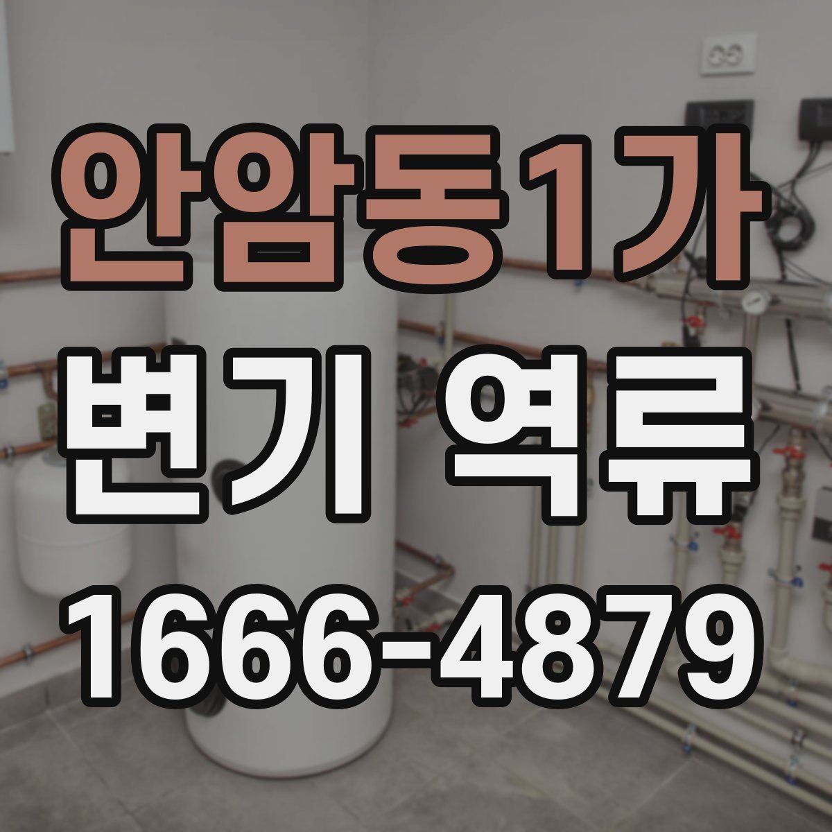 안암동1가 변기 역류 점검 시 트랩 상태를 확인해야 하는 이유