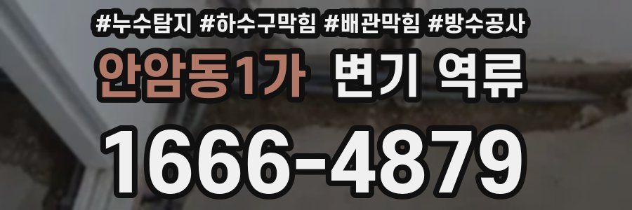 안암동1가 변기 역류