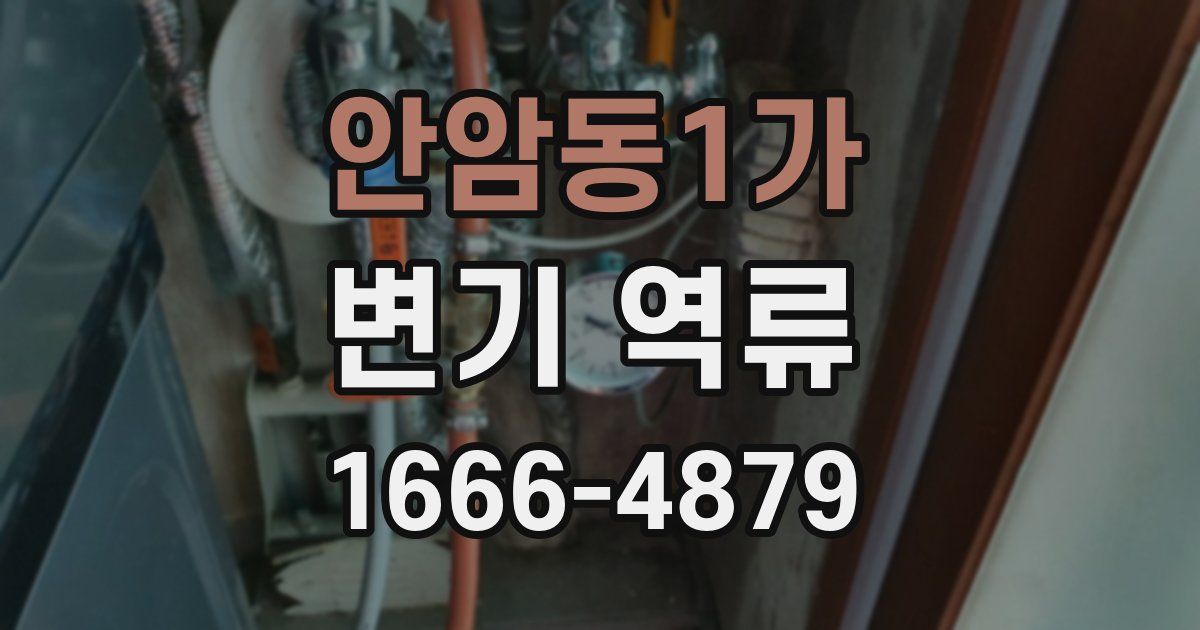 안암동1가 변기 역류