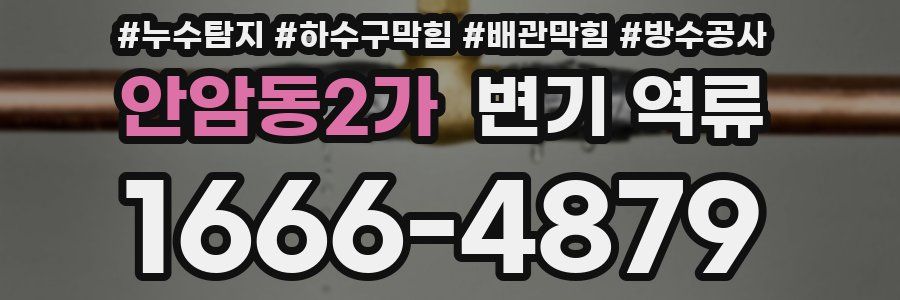 안암동2가 변기 역류