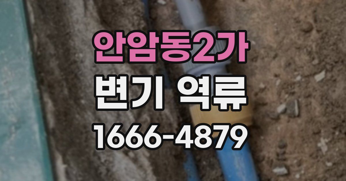 안암동2가 변기 역류
