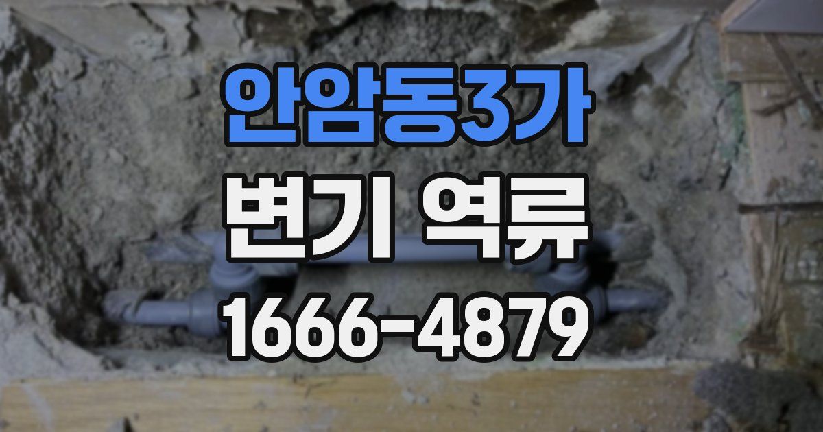 안암동3가 변기 역류