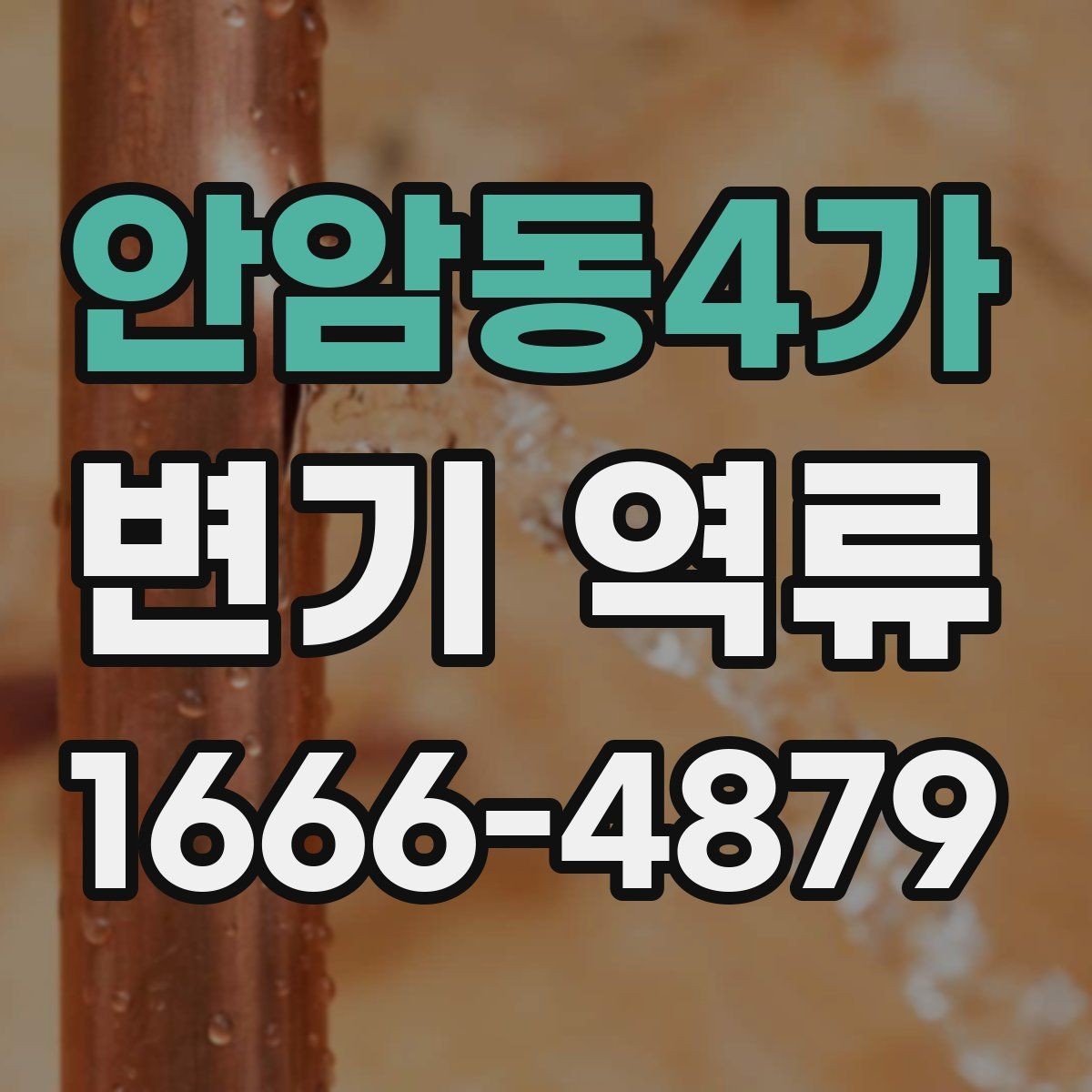 안암동4가 변기 역류 발생 시 흔한 원인 정리